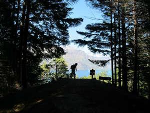 Guide til mountainbike i Queenstown