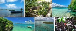 Ile aux Aigrettes