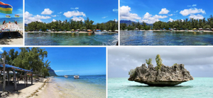 Ile aux Benitiers