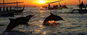 North Bali
