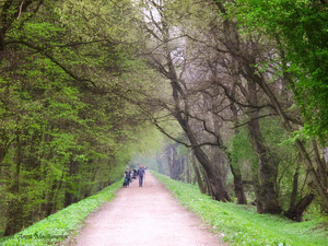 North Warsaw