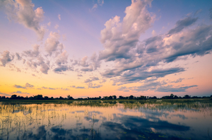 Okavango Delta & Panhandle