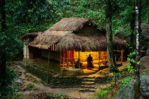 Selva de Perú