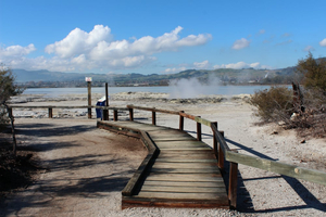 Rotorua Spaziergänge