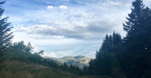 Top 10 SIGHTS
