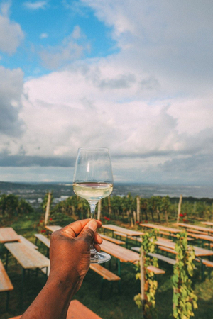 Vienna Wine & Heuriger Guide 2025 – Local Insider Tips