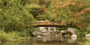 Nature in Vienna: A Guide to the City’s Most Beautiful Public Parks