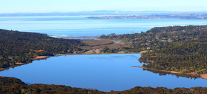 Waitakere Ranges