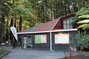 Whakarewarewa Wald