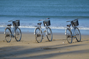 WHY NOT BICYCLE