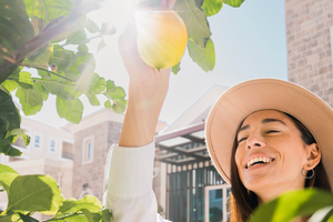 A Montenegro Pioneer in the Luxury Travel focused on Sustainability – The Chedi Luštica Bay