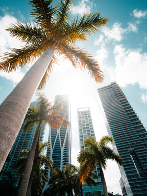 Um guia prático para Miami!
