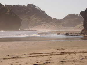 En snabbguide till att besöka Bethells Beach, Väst Auckland