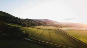 Best excursions and day trips in Sussex