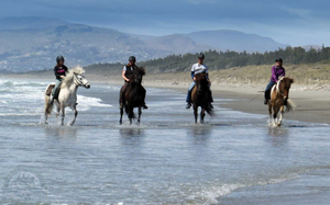 Découvrez les meilleures expériences d'équitation à Christchurch, NZ