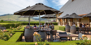 Exploring the Best Waipara Wineries