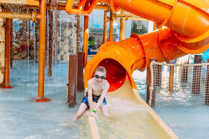 Family Days Out: Action, Adventure and Animal Encounters