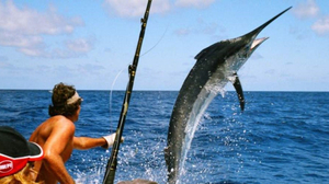 Fiske i Panama, en upplevelse att leva