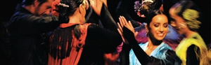 Flamenco in Malaga