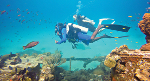 Bli Reef Smart i Barbados