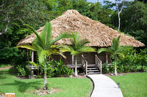 Global investments for conservation