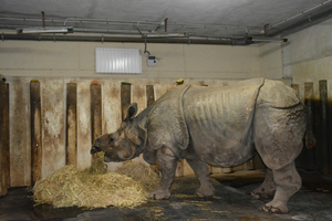 Sådan holder dyrene sig varme hos Terra Natura Benidorm?