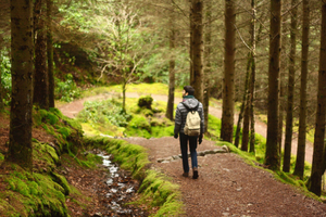 How to Become a More Responsible Traveller