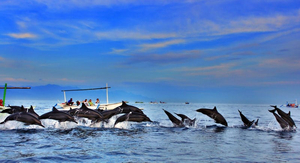 Lovina Water Sports