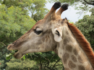 Meus Top 10 Parques Privados/Lugares De Interesse ao Redor de Harare