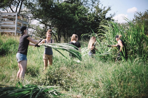 Oportunidades de Voluntariado no Zimbabwe