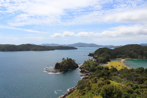 Our Guide Getting from Auckland to the Bay of Islands