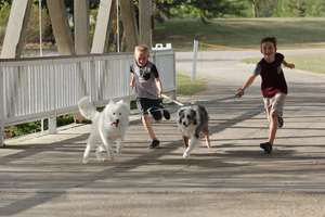 Pet friendly locations to visit during half-term in Sussex