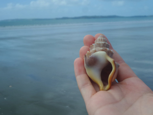 Avkoppling vid Orewa Beach, North Shore