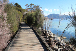 Caminhada pela Cidade de Rotorua