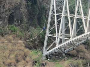 Shearwater Bridge Slide Experience