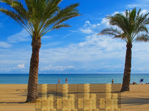 Smart Way To Get The Best Currency Exchange Rates