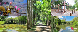 SSR Botanical Garden (Pamplemousses Garden)