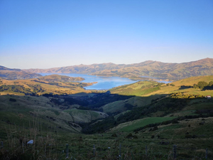 Dix façons de profiter d'Akaroa et de la péninsule de Banks