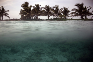 El arrecife más importante de América deja la lista de peligro del Patrimonio Mundial de la Unesco