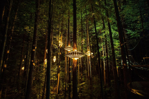 The Rotorua Redwoods Treewalk