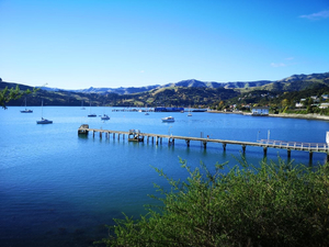 The Wild Side of Akaroa