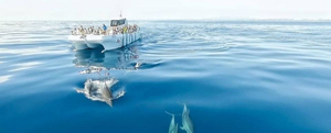 Top 10 Winter Watersports and Boat Tours in the Algarve