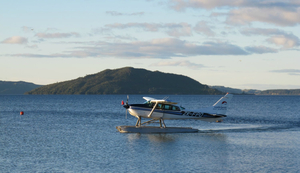 Top 5 dagsutflykter från Rotorua