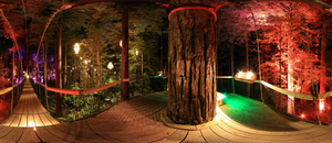 Top 5 Coisas Para Fazer em Rotorua à Noite