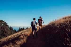 Top Walking Routes in Sussex
