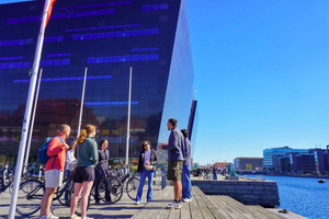 3-Hour Guided Food Tasting and Urban Bike Tour