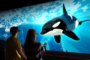 Arctic Hologram Show at HologramZoo