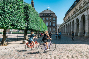 Copenhaga: 3 horas de visita guiada privada de bicicleta