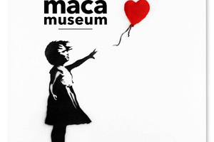 Copenhagen: MACA Art Museum Entry Ticket