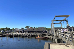 Copenhagen: Tour of Roskilde, the Viking city in Spanish